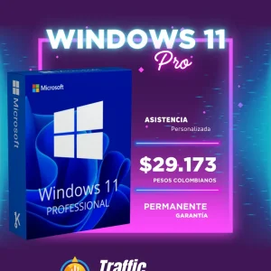 Windows 11